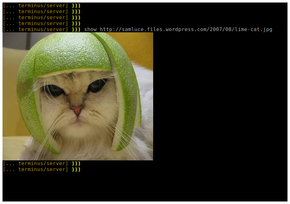 limecat